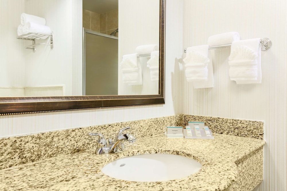 Hilton Garden Inn Dallas Lewisville - photo 17
