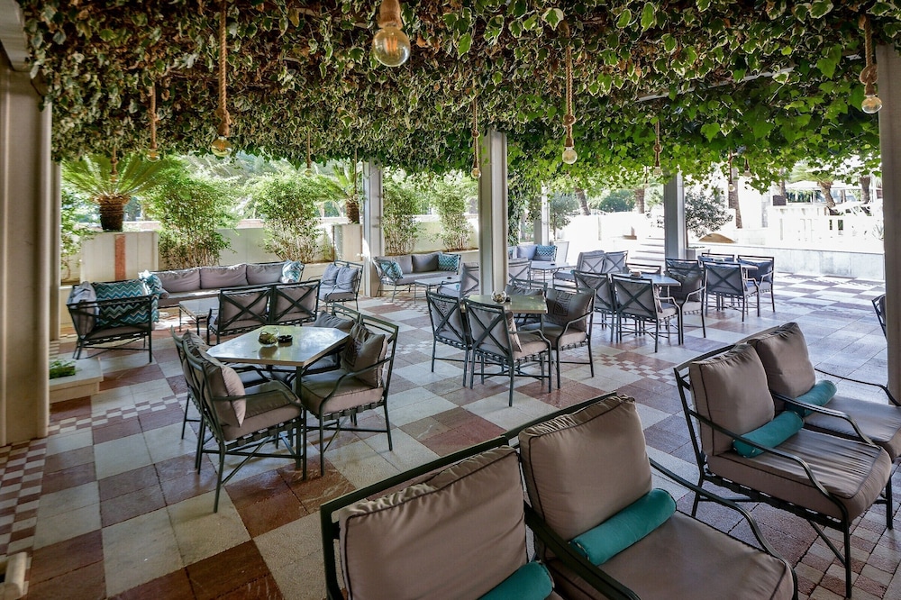 מרפסת / טרסה