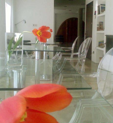 Hotel El Patiaz De La Reina Rana in Tauste, Spain