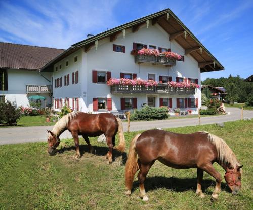 Heutauer Hof — Siegsdorf