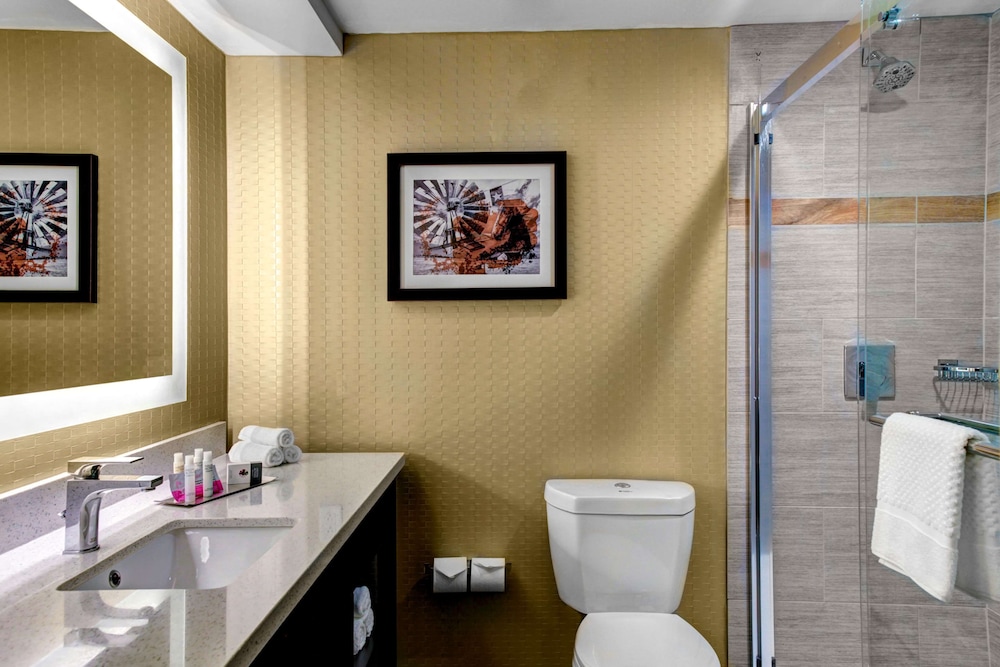 DoubleTree by Hilton Hotel Arlington DFW South - photo 12