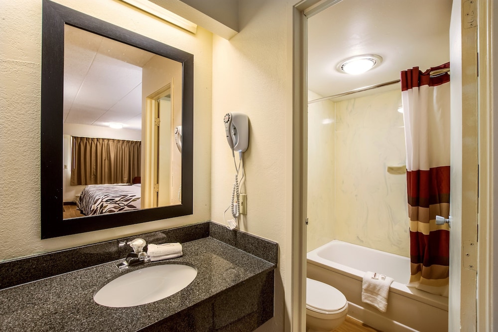 Red Roof Inn Saginaw Frankenmuth - photo 24