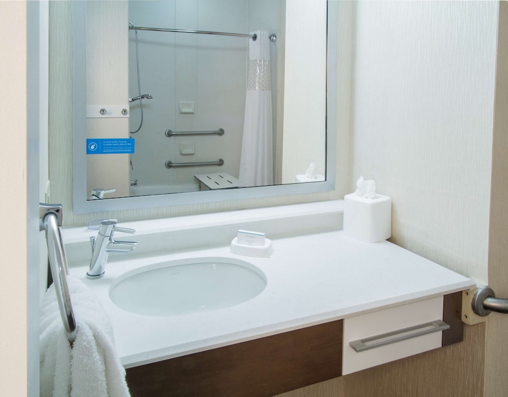 Hampton Inn South Haven - photo 21