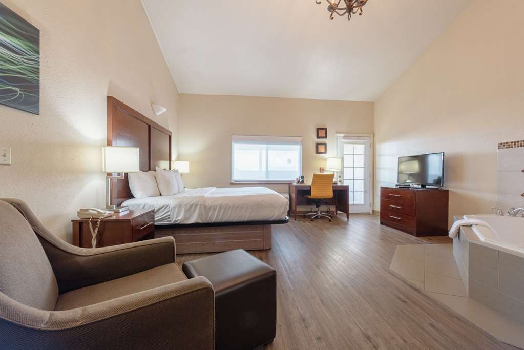 Comfort Inn & Suites Alamosa - photo 70