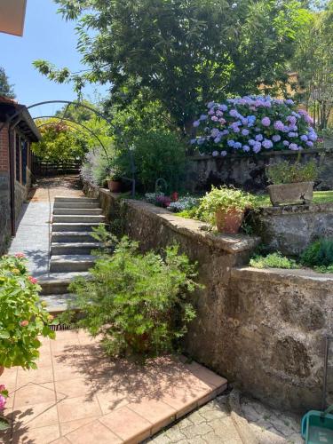 Villa Anna — 4-Star Luxury Hotel in Rocca Di Papa, Italy