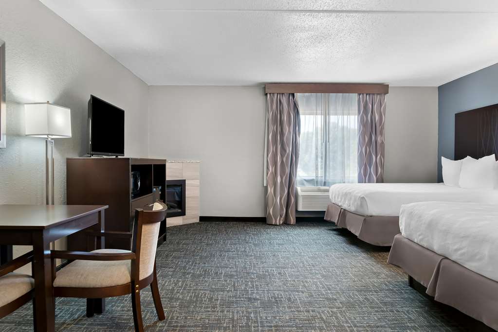 Best Western Plus Flint Airport Inn & Suites - photo 16