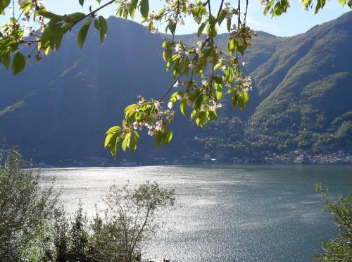 Casa privata con splendida vista lago Il Gallicantus — 4-Star Luxury Hotel in Nesso, Italy
