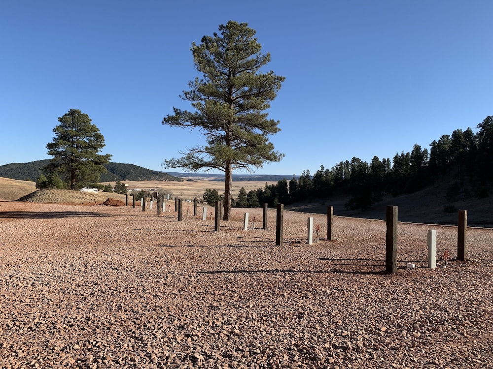 Bearlodge Mountain Resort - photo 52