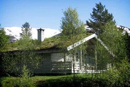 Jølsterlia Hyttetun in Skei, Norway