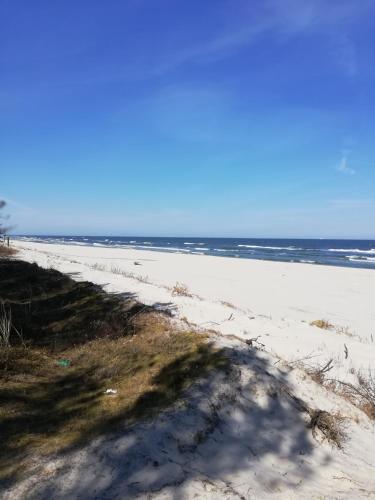 Morska Fala in Unknown City, Poland