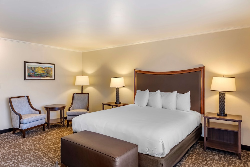 Best Western Plus Royal Oak Hotel - photo 19