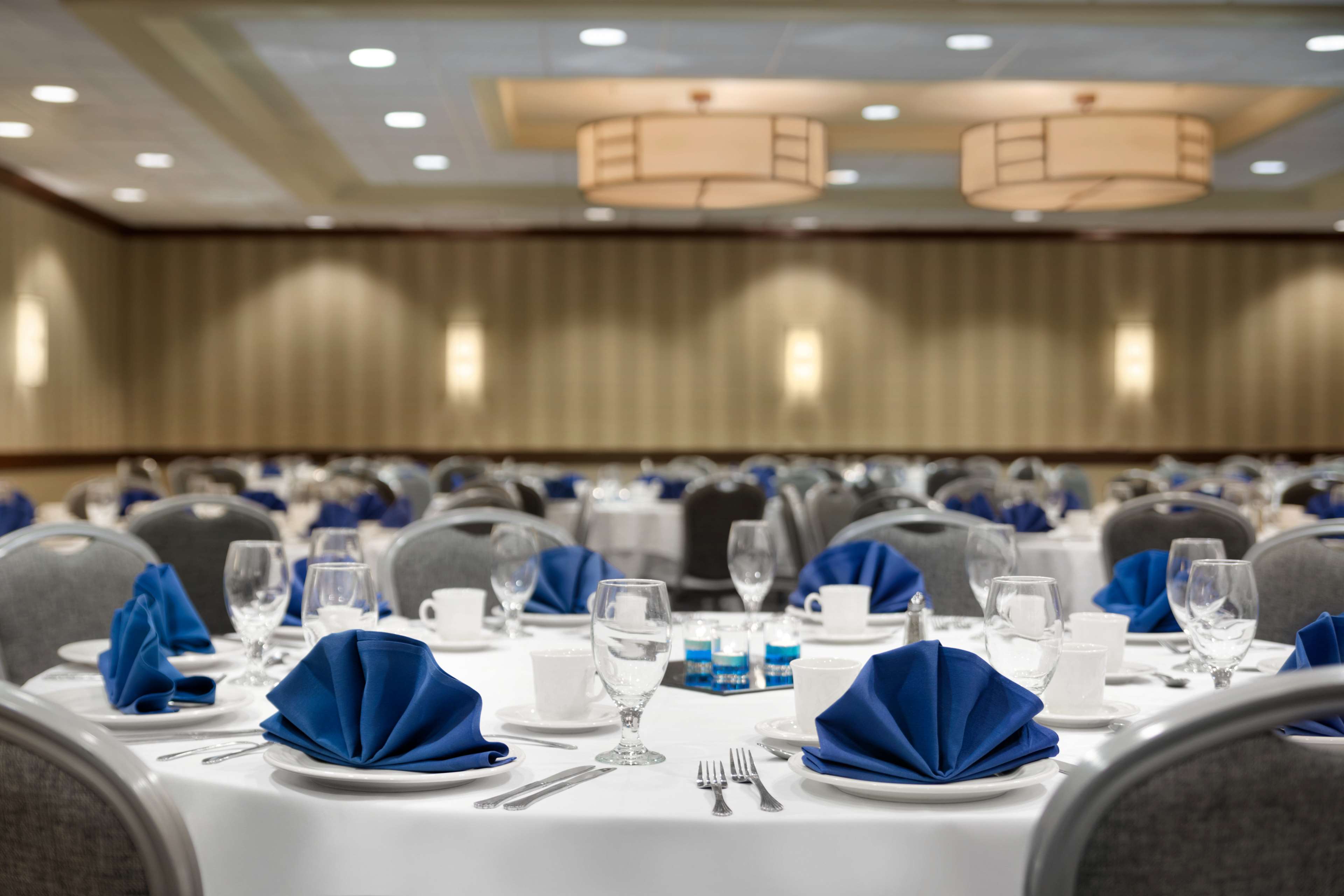 Embassy Suites by Hilton Piscataway Somerset - photo 14