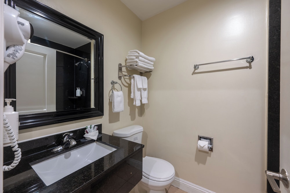 Hollywood City Inn - photo 43