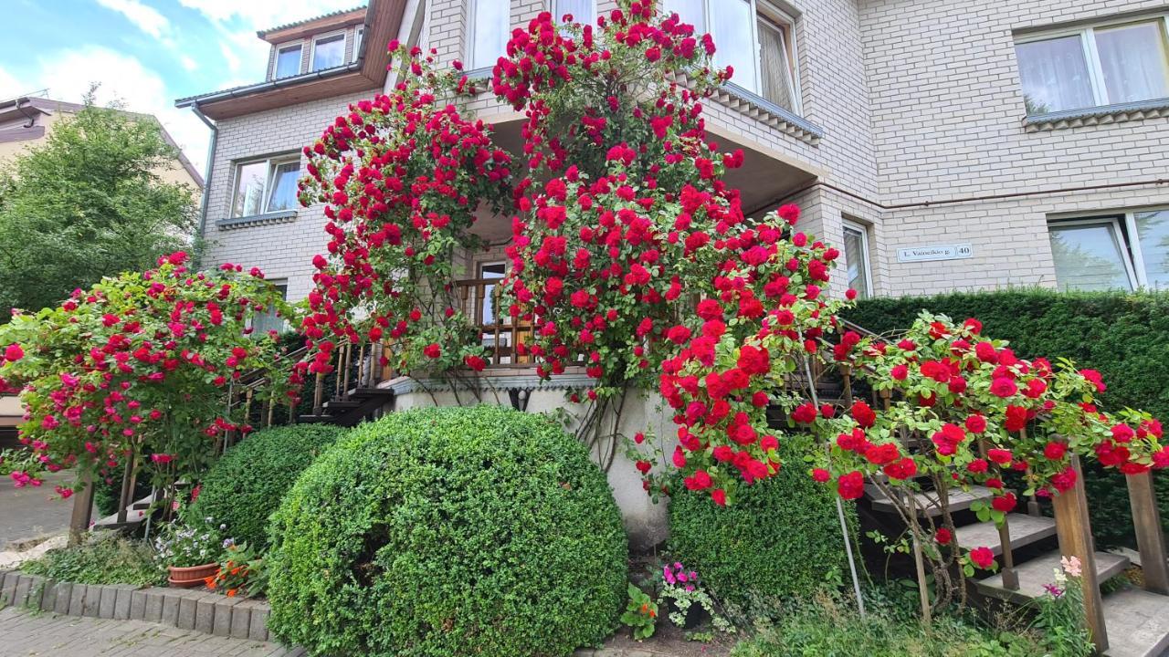 Ersita — Palanga