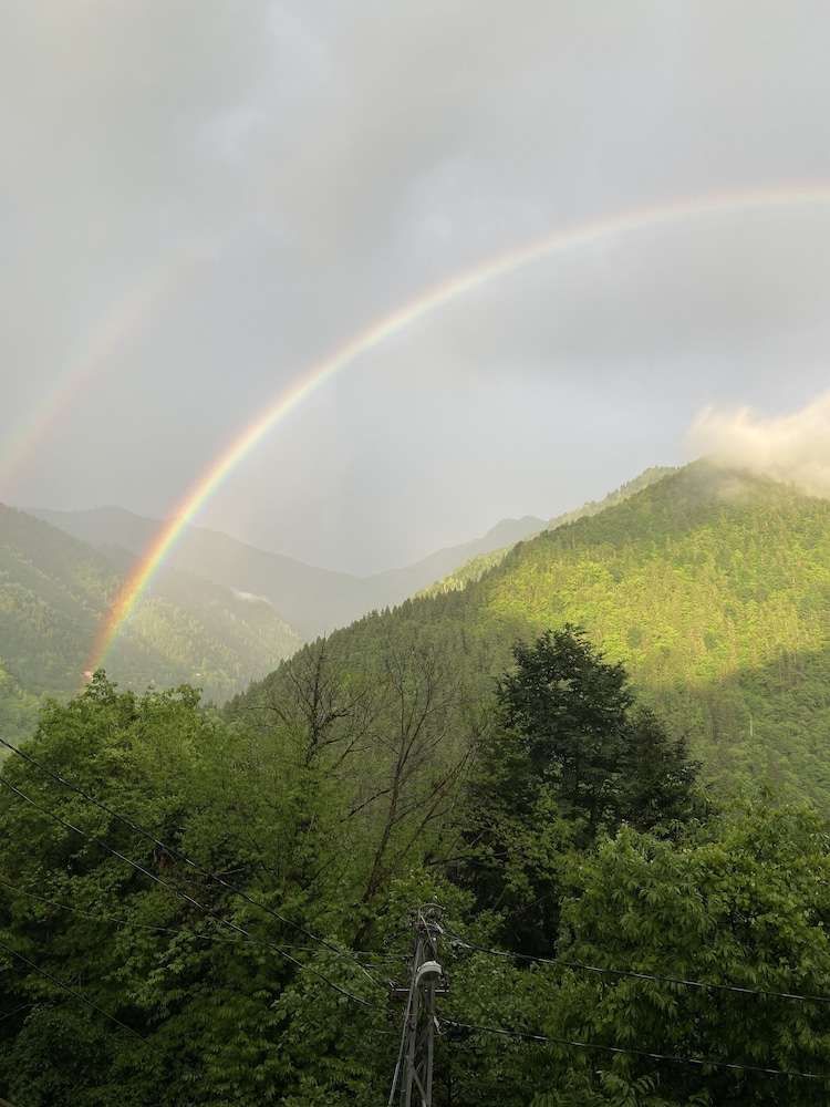 Leyli Comfort — Rize — photo 3