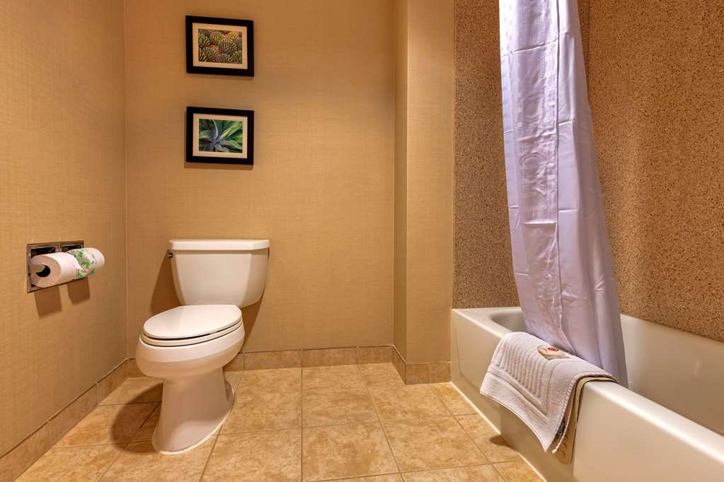 Comfort Suites Goodyear West Phoenix - photo 54