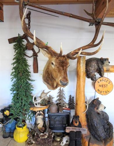 Eagle's Nest Motel - photo 25