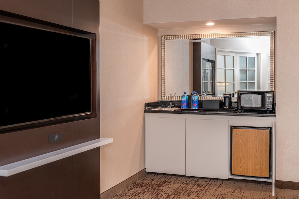 Chicago Marriott Suites Deerfield - photo 33