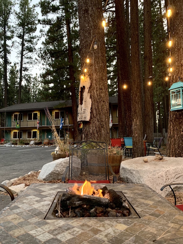 Alder Inn - photo 55