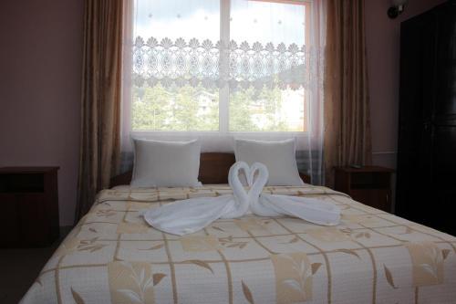 Complex Forest Sarnitsa in Sarnitsa, Bulgaria