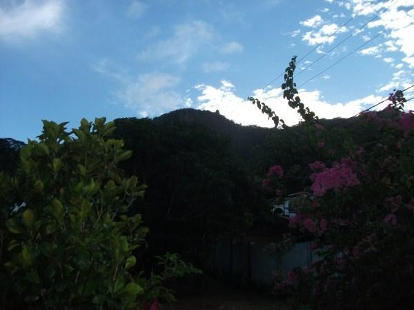 Marl Self Catering — Anse Boileau — photo 4