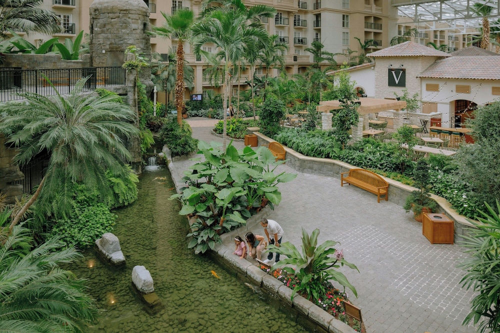 Gaylord Palms Resort & Convention Center - photo 108
