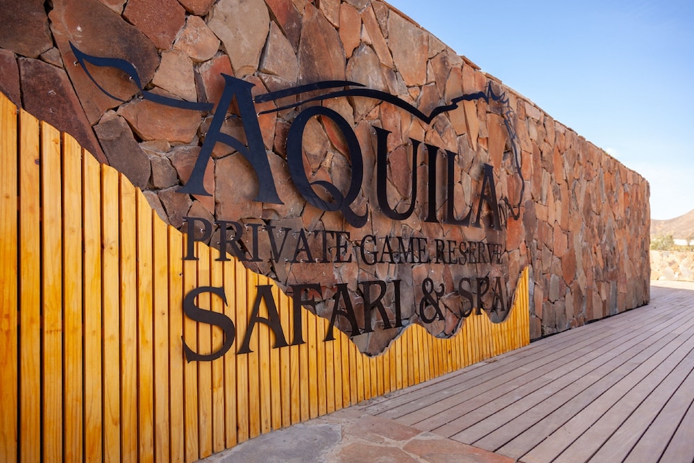 Aquila Private Game Reserve & Spa in Montagu, South Africa