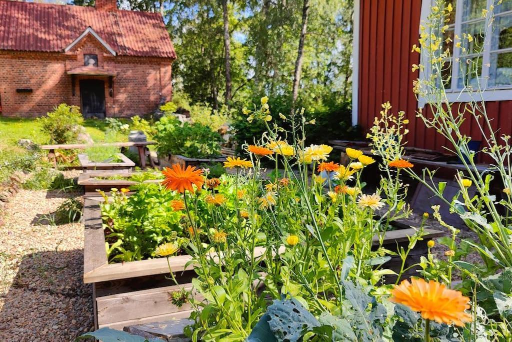 Loma Tai Perhejuhlat Bobackan Pihatorpassa in Haemeenlinna, Finland