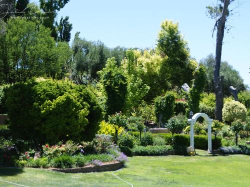 Mieliefontein Karoo Guest Farm — Bloemfontein — photo 3
