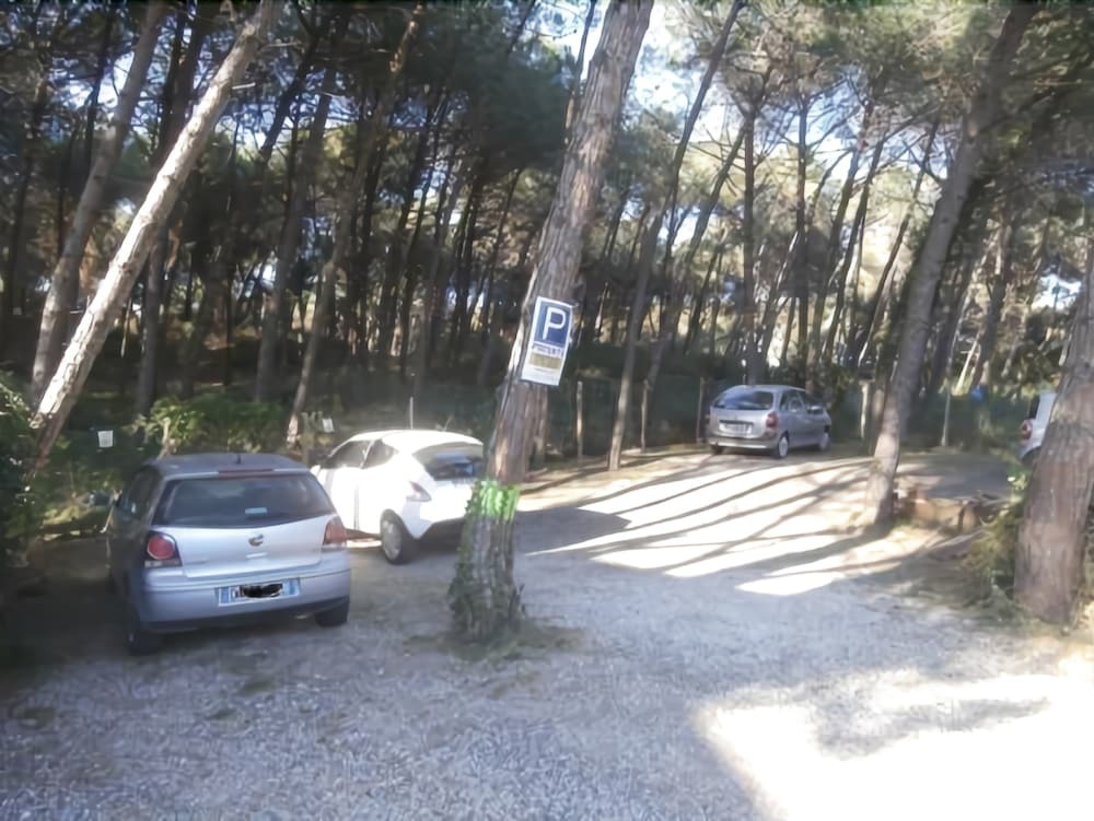 I Gigli Di Mare — Bibbona