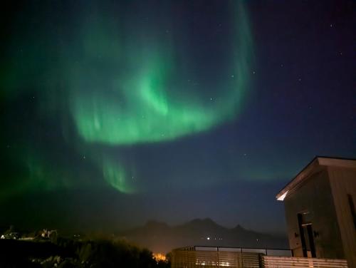 Nordlys Family Studio Bodø in Bodo, Norway