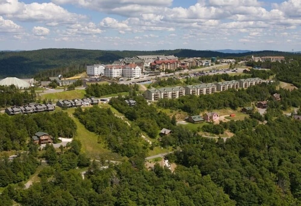 Allegheny Springs - photo 12