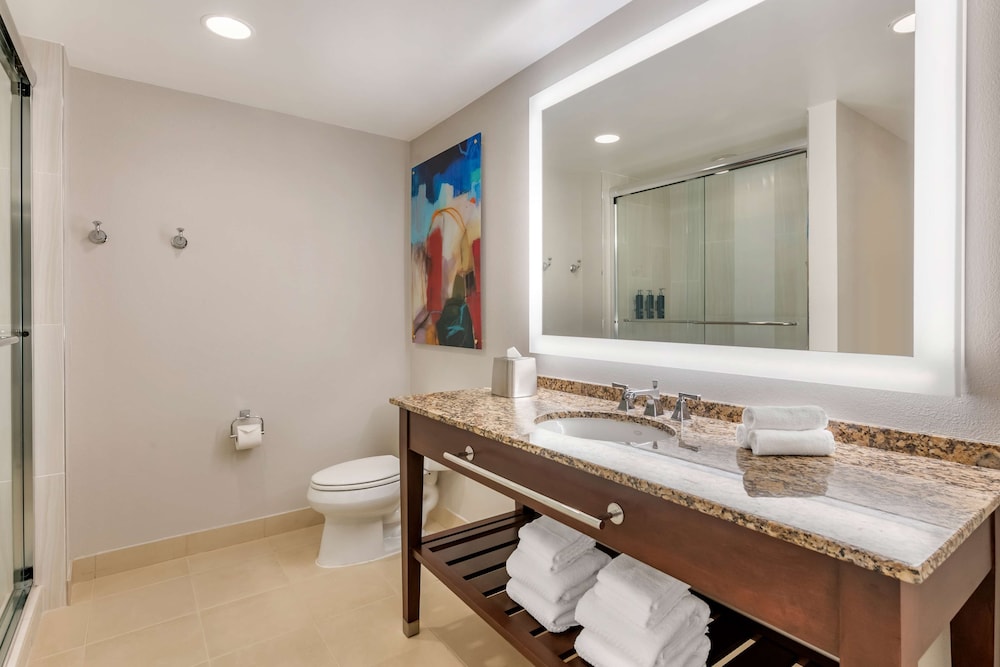 Hilton Grand Vacations Club Las Palmeras Orlando - photo 26