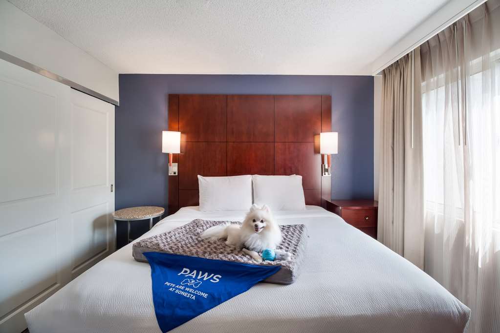 Sonesta ES Suites Huntington Beach Fountain Valley - photo 17