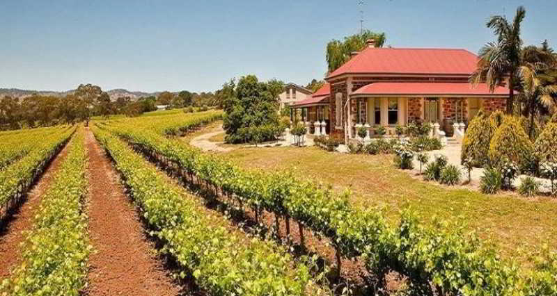 Barossa Shiraz Estate — 4-Star Luxury Hotel in Lyndoch, Australia