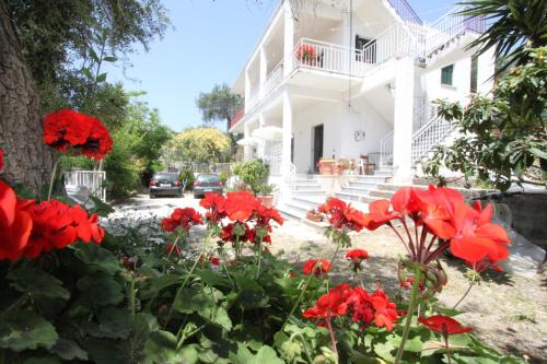 Angeliki Studio and Apartment — 4-Star Luxury Hotel in Gaios, Greece