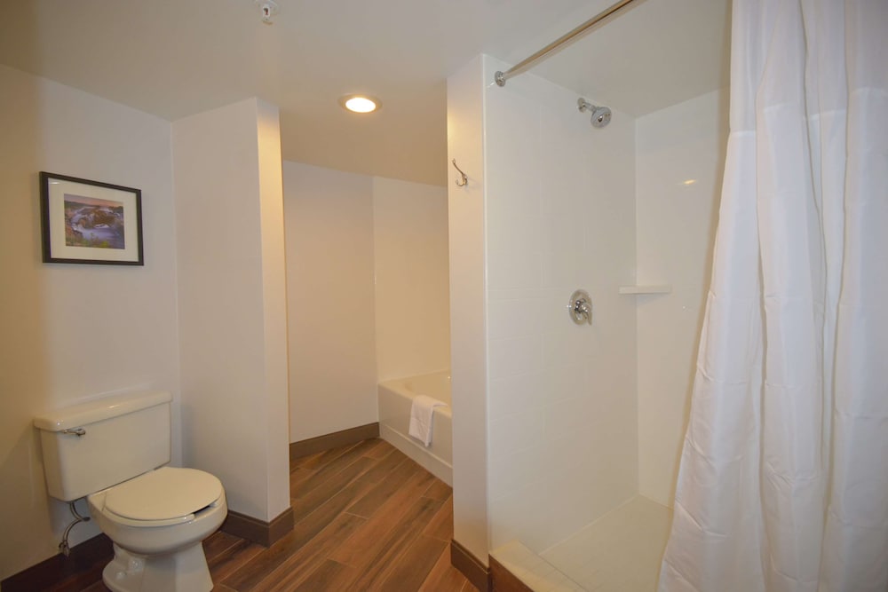 Hampton Inn Salem East Electric Road - photo 26