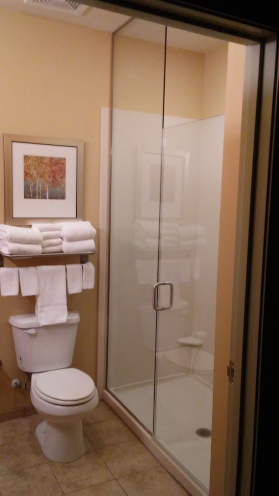 MainStay Suites Sidney Medical Center - photo 27