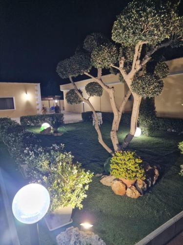 Casale — Brindisi — photo 3