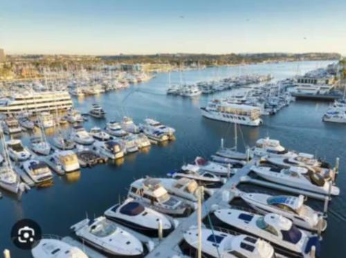 Stunning 2BR Penthouse Patio & View Venice MDR — 4-Star Luxury Hotel in Los Angeles, United States