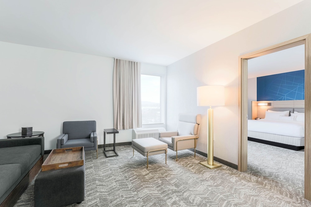 SpringHill Suites by Marriott San Jose Fremont - photo 15