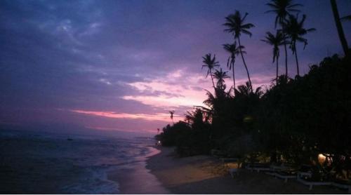 Green Grove in Matara, Sri Lanka