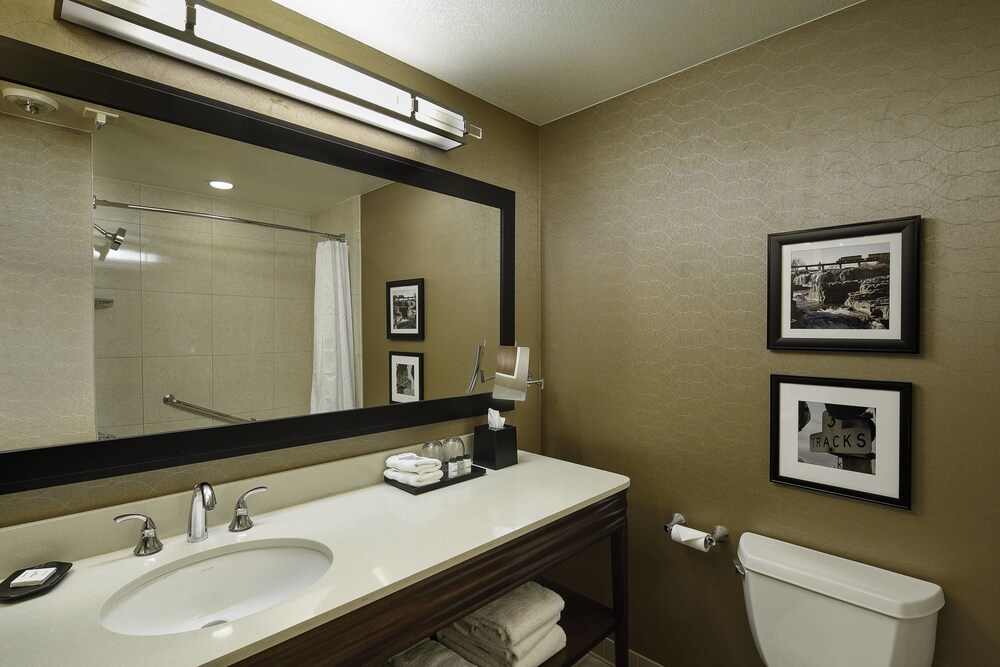 Sheraton Sioux Falls Hotel & Convention Center - photo 13