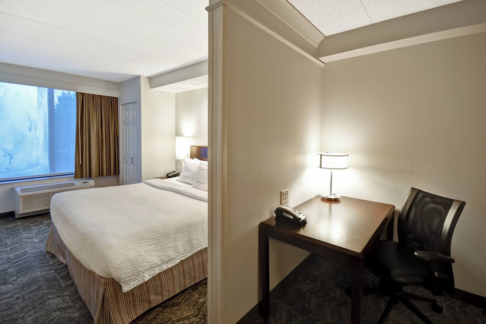 Springhill Suites by Marriott Louisville Airport - photo 14