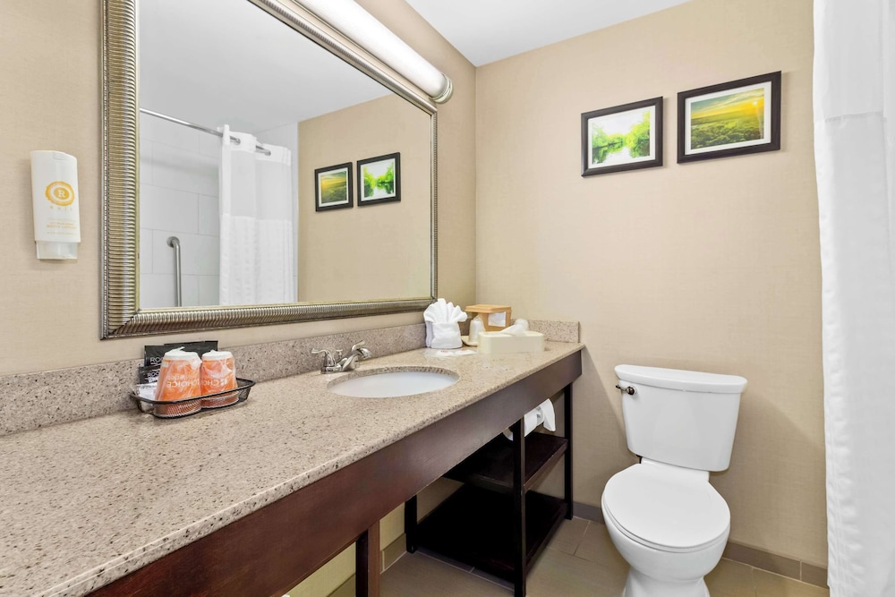 Comfort Suites Lumberton North - photo 19