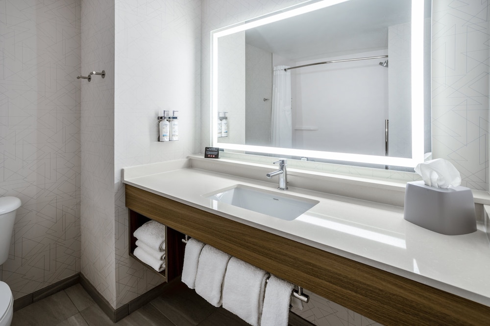 Holiday Inn Express Hotel & Suites New Tampa I 75 by IHG - photo 38