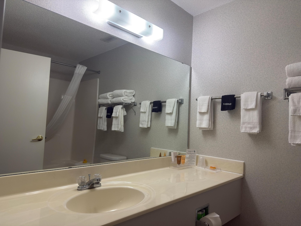 Country Inn Walker - photo 17