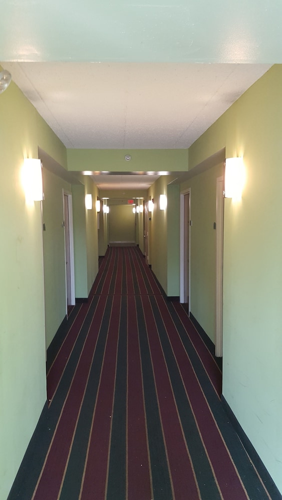 Garden Inn - photo 21