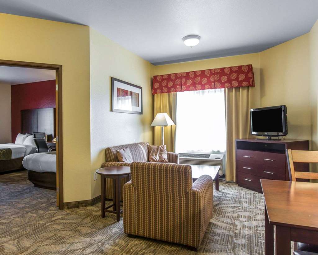 Comfort Suites Palm Desert I 10 - photo 21