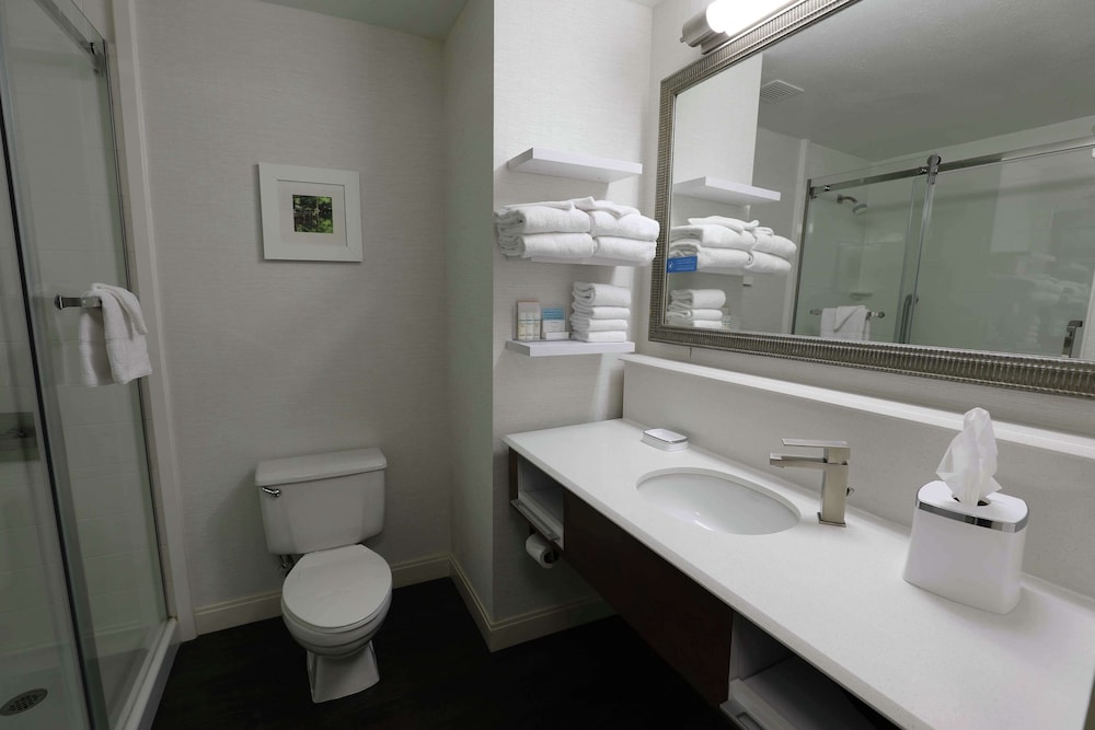 Hampton Inn Dyersburg - photo 18